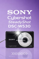 Sony Cybershot SteadyShot DSC-W530 14.1mpx - PRETA