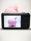 Samsung PL120 Visor Frontal Selfie – 14.2MP PRATEADA