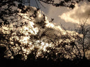 Sony Cybershot MPEGMOVIE XV DSC-W100 8.1mpx - PRATA