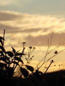 Nikon Coolpix L810 16.1 MP com super zoom óptico 22.5× – PRETA Semi Profissional