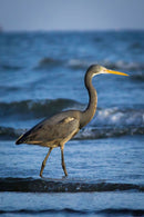 Canon EOS 1200D + Lente Profissional – DSLR 18mpx PRETA