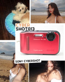 Sony Cybershot Optical SteadyShot DSC-TF1 - 16.1 mpx - VERMELHA