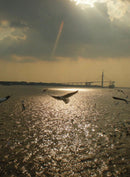 Nikon Coolpix L14 8.0mpx - PRATA