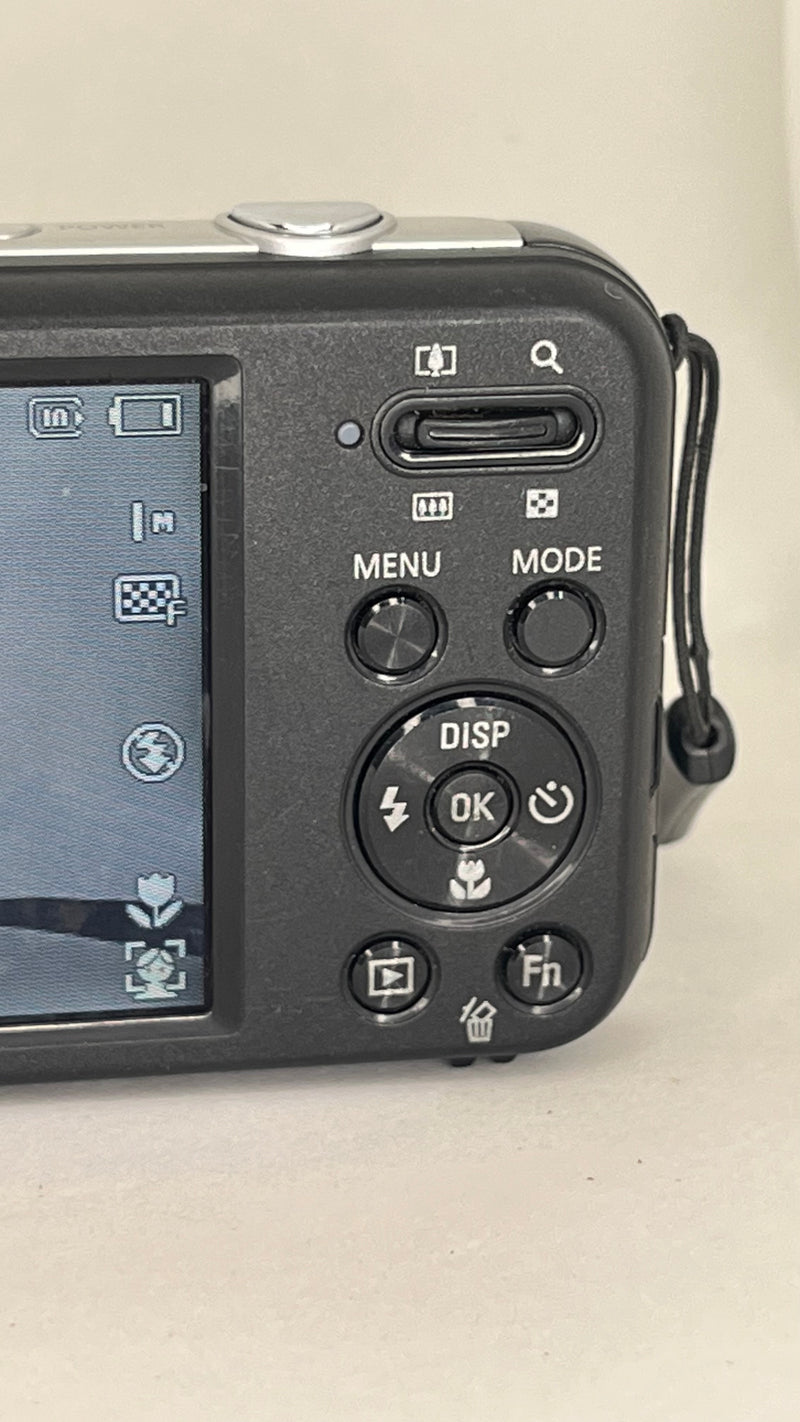 Samsung PL120 Visor Frontal Selfie – 14.2MP Preta