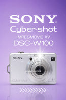 Sony Cybershot MPEGMOVIE XV DSC-W100 8.1mpx - PRATA