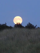 Sony Cybershot DSC-HX9V com lente Sony G 16.2mpx – PRETA