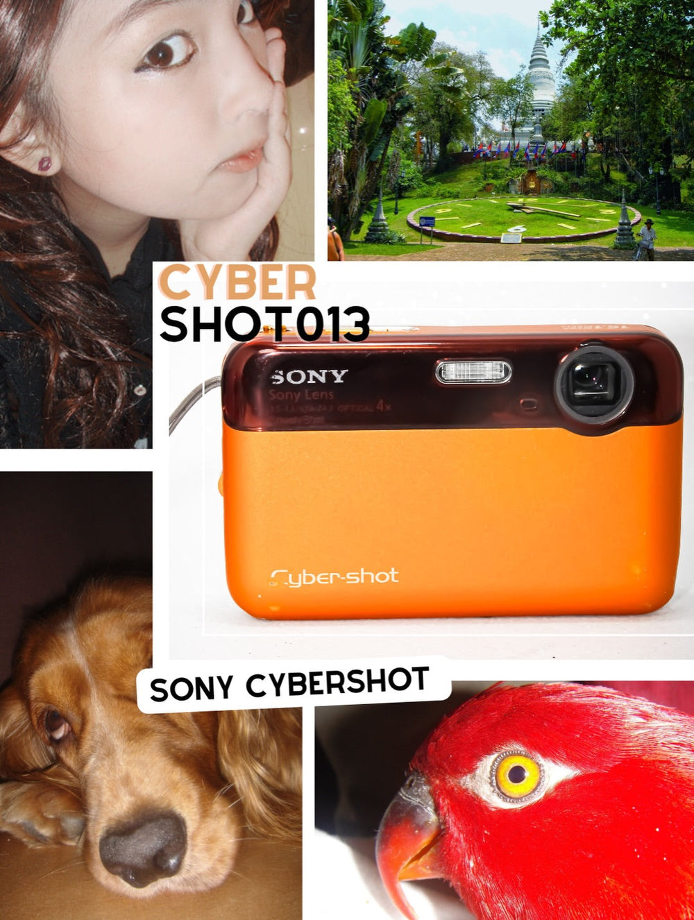 Sony Cybershot SteadyShot DSC-J10 16.1mpx – LARANJA