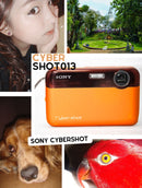 Sony Cybershot SteadyShot DSC-J10 16.1mpx – LARANJA