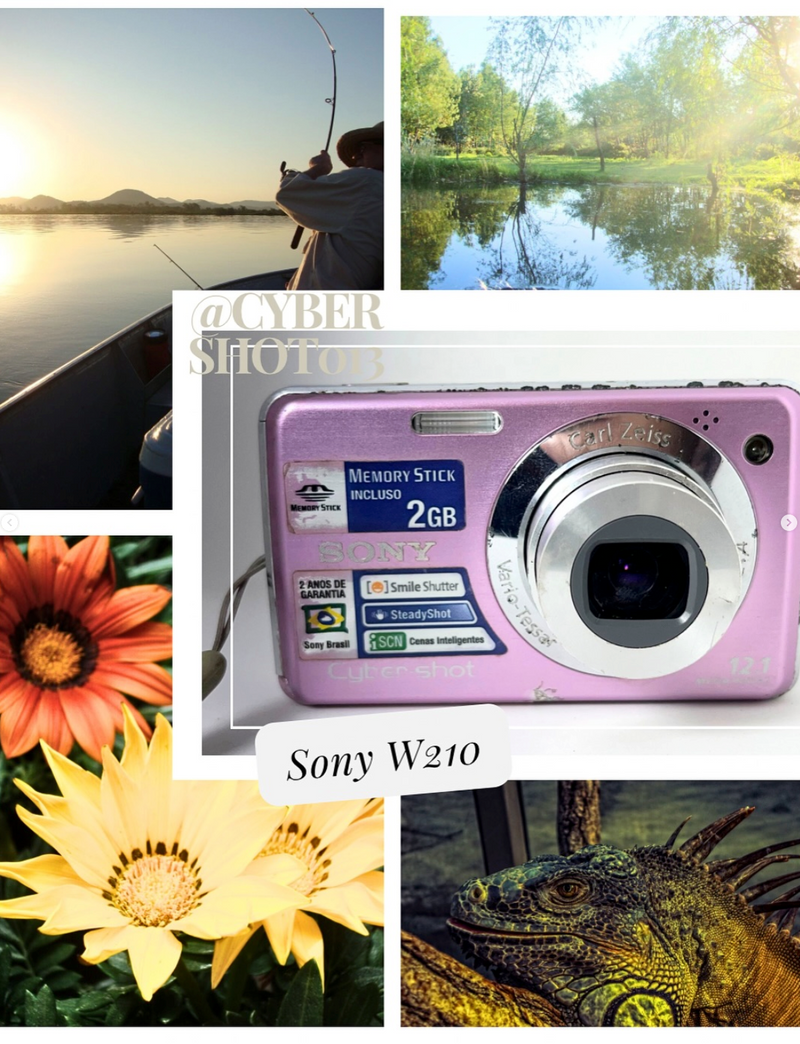 Sony Cybershot DSC-W210 com SteadyShot ROSA