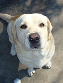 Sony Cyber-shot DSC-W80 7.2mpx Prata