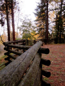 Canon PowerShot ELPH 100 HS 12.1 MP com zoom óptico 5× – CINZA