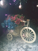 Oregon Scientific DS9320-15 5.0mpx Cinza