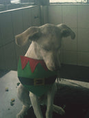 Oregon Scientific DS9320-15 5.0mpx Cinza