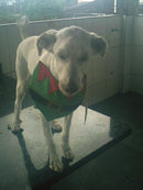 Oregon Scientific DS9320-15 5.0mpx Cinza