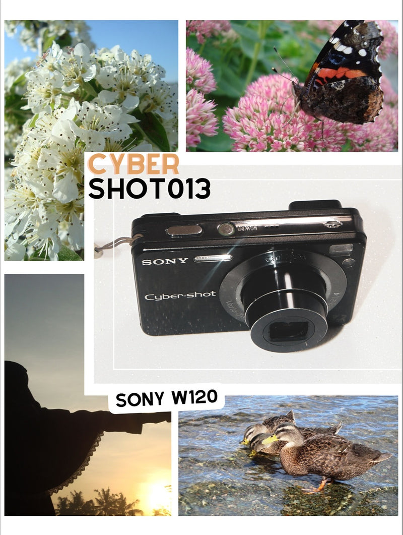 Sony Cybershot DSC-W120 com lente Carl Zeiss 7,2 mpx – PRETA