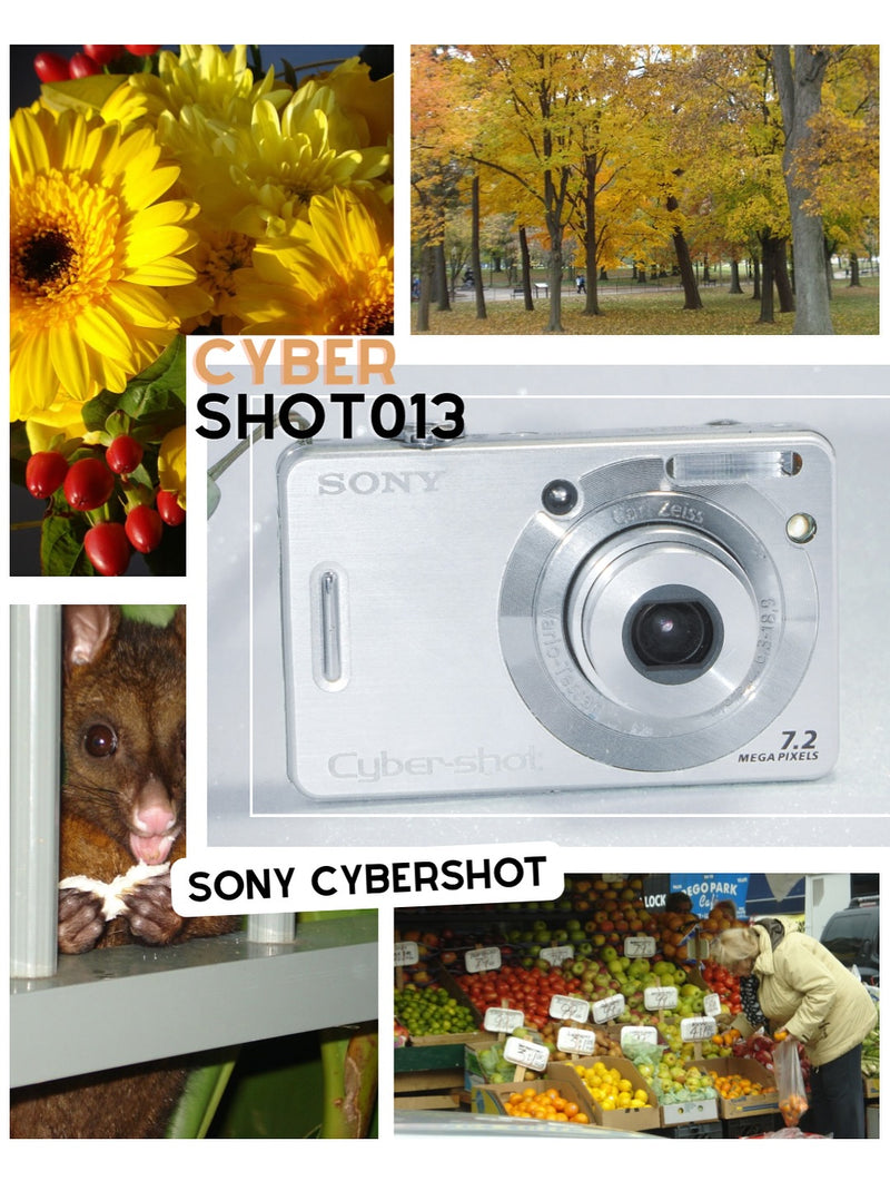 Sony Cybershot DSC-W55 com lente Carl Zeiss 7,2 mpx – PRATA